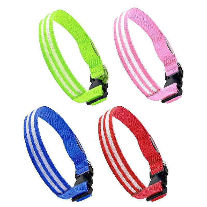 Best Dog Collars: Custom & Designer
