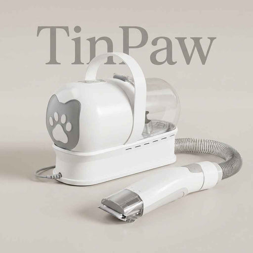 AI Generated Image