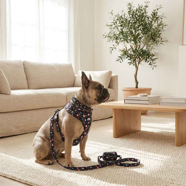 Adjustable Patterned Dog Collar And Leash Set - Dog Gear - TinPaw