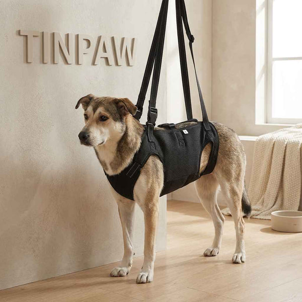Adjustable Reflective Dog Support Harness & Leash - Dog Gear - TinPaw