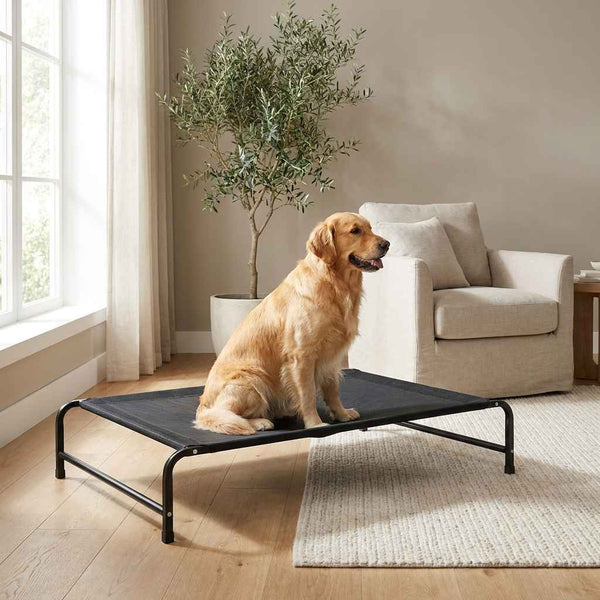 Elevated Breathable Pet Camping Bed – Foldable & Portable - Dog Beds & Furniture - TinPaw