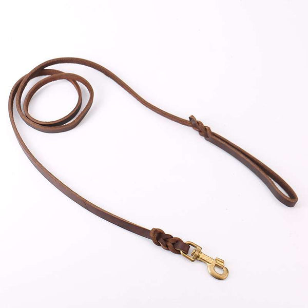 Genuine Leather Dog Lead With Copper Hook - Dog Gear - TinPaw