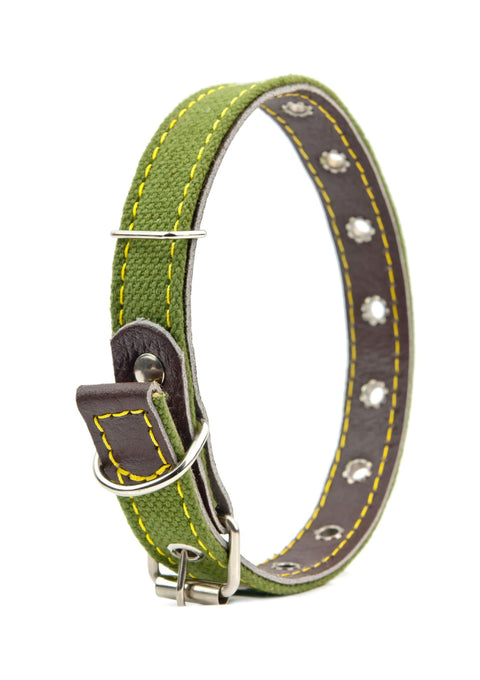 DOG COLLARS