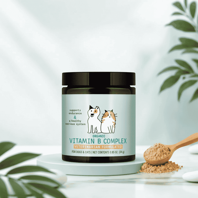 Pet Joint Supplement for Dogs & Cats | TinPaw - Vitamins & Supplements - TinPaw
