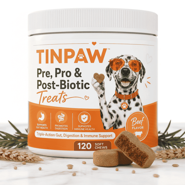 Dog Digestive Health Chews – Prebiotic Gut Support - Vitamins & Supplements - TinPaw