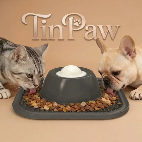 Slow feed dog bowl with licking ball