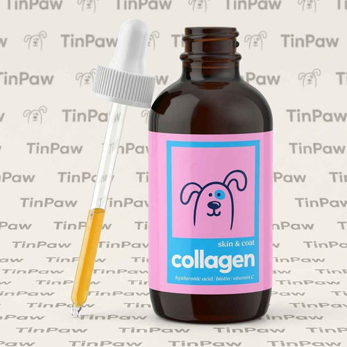 A small amber glass dropper bottle with a pink label reading 'collagen skin & coat' and a cartoon dog face, shown with a glass dropper against a light patterned background.