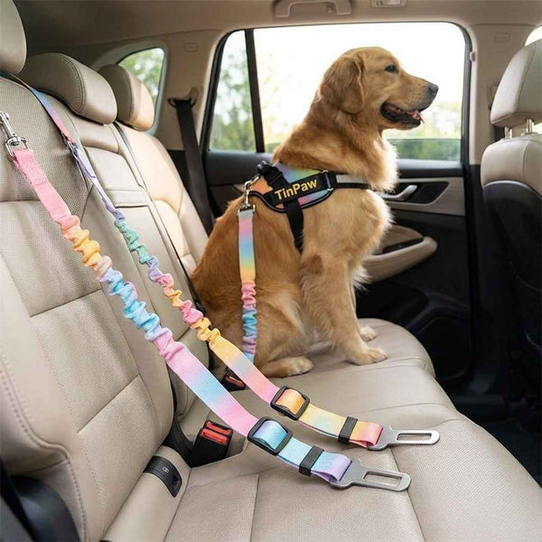 Retractable Dog Car Seat Belt Leash – Nylon Safety Lead - Dog Gear - TinPaw