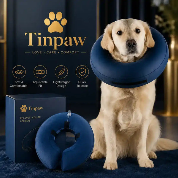 Soft Inflatable Pet Recovery Collar – Anti - Lick Protection - Collars - TinPaw - Blue - XL - SU00354140 - Blue - XL