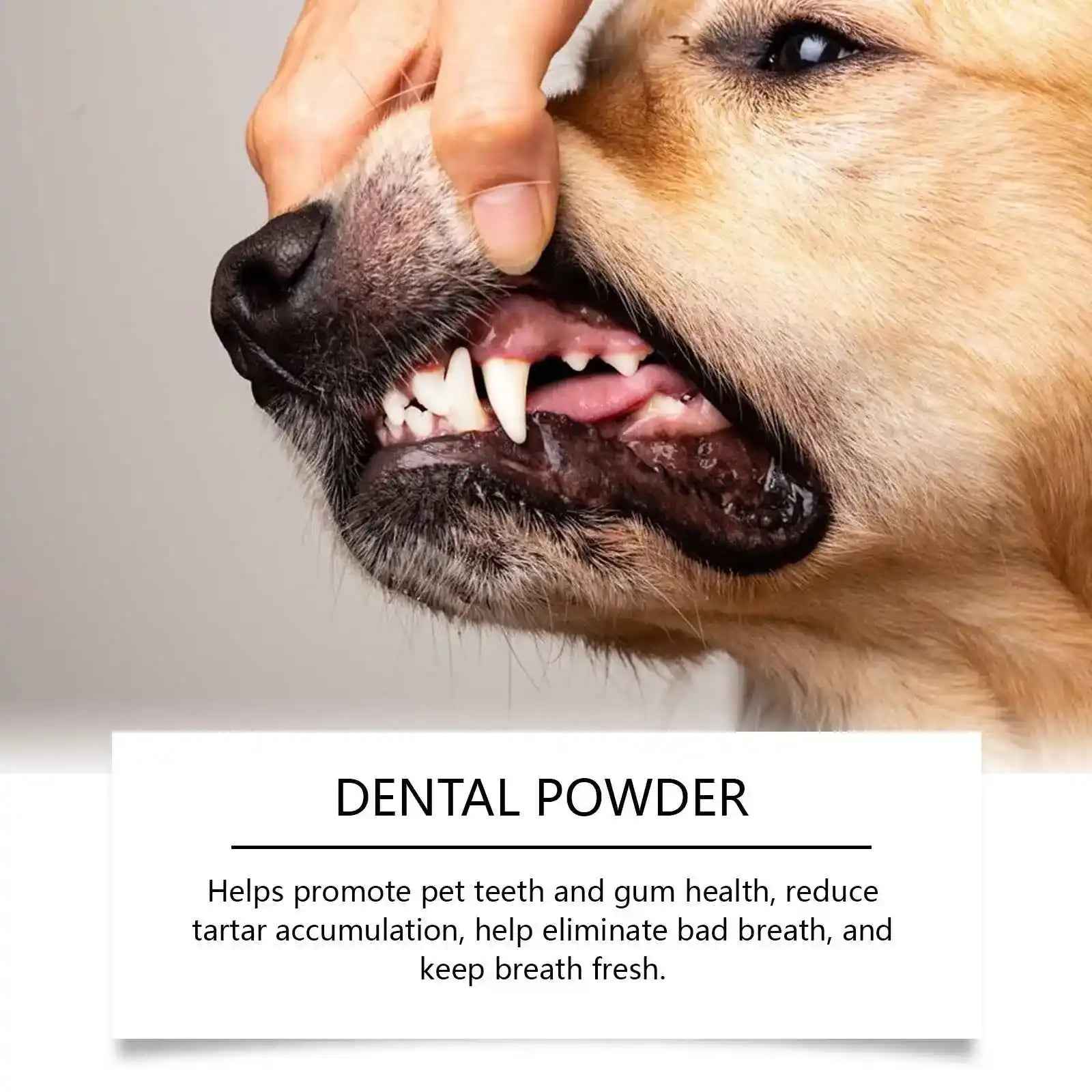 Dog Dental Care: The Complete Guide