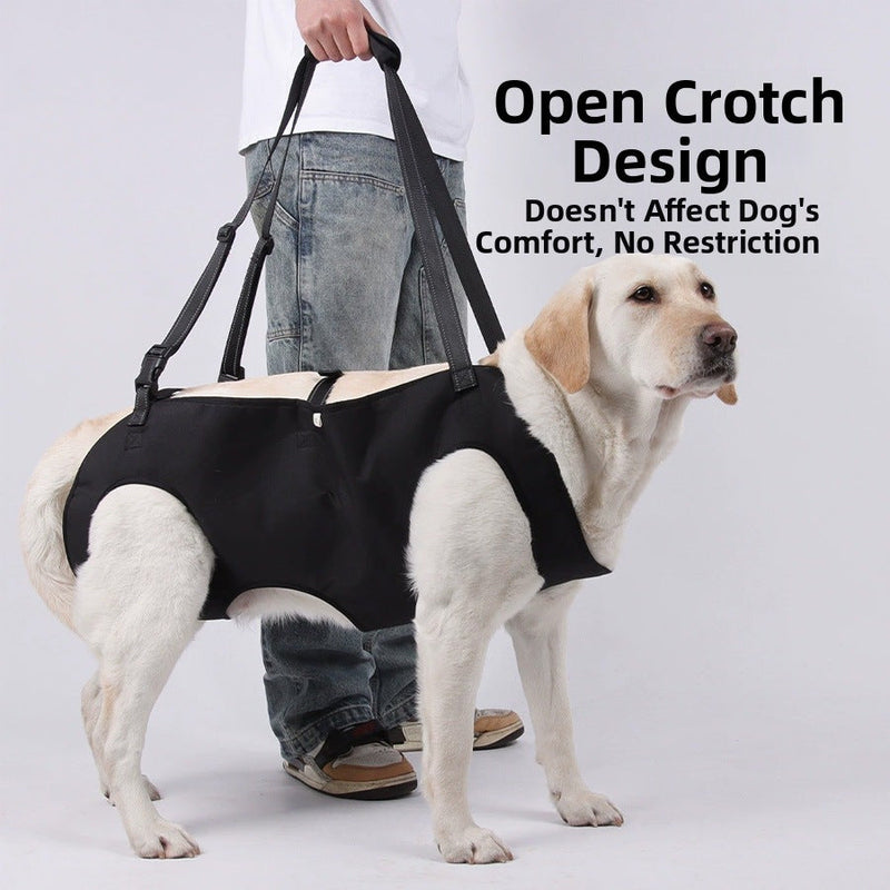 Dog Harness & Leash Collection UK