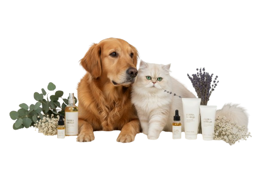 Products