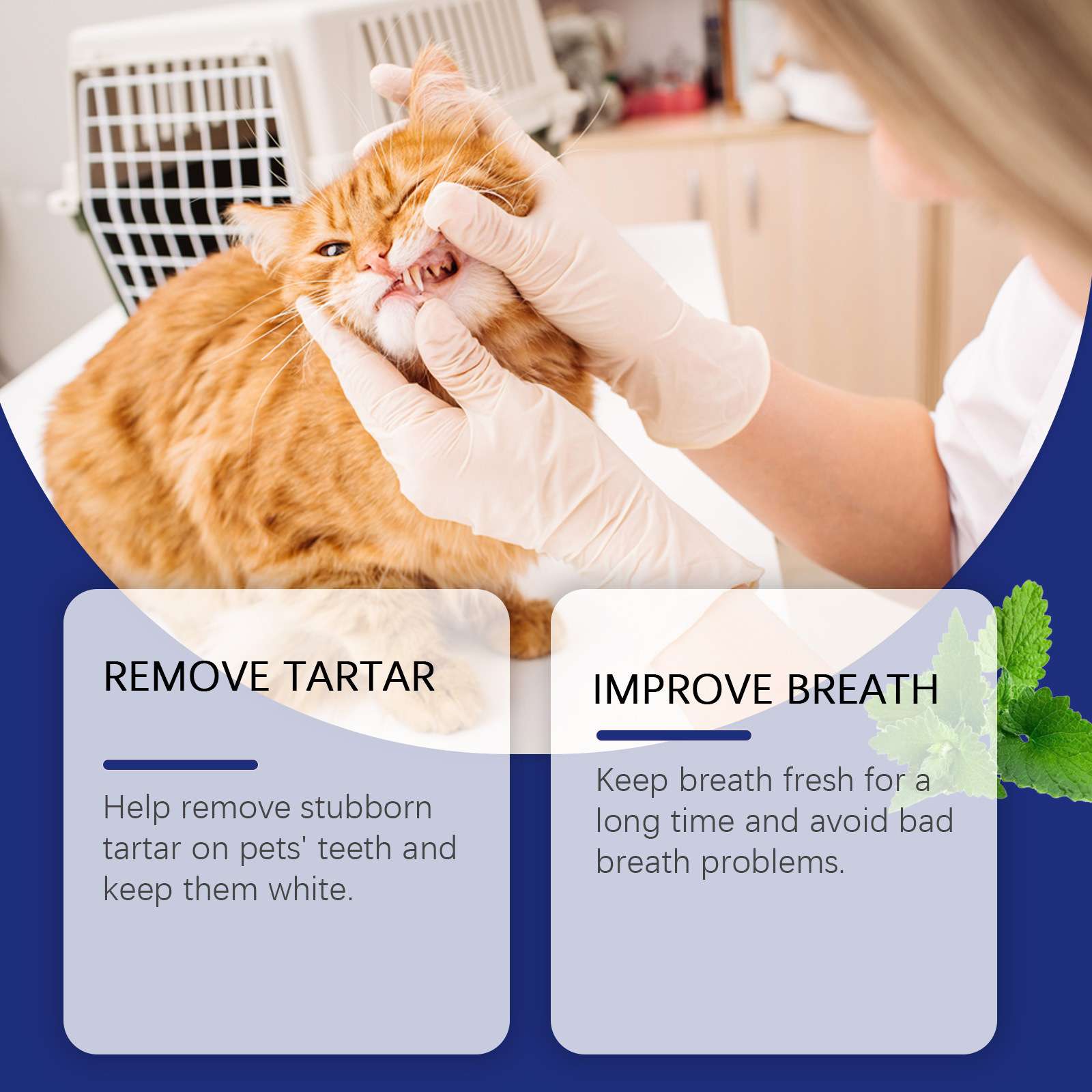 A person gently holding a cat's mouth open while applying dental cleaning powder, with text about tartar removal and breath