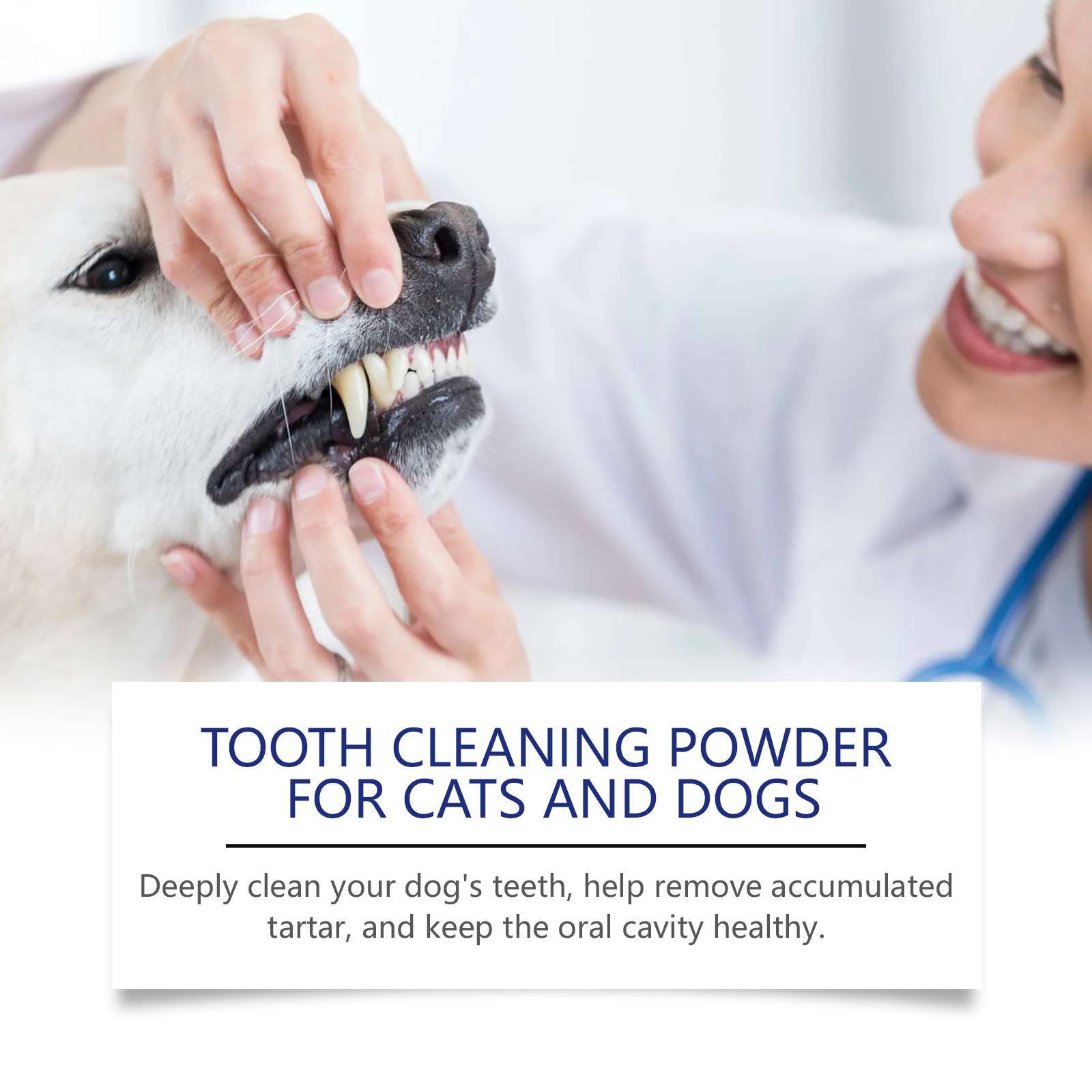A person holding a dog's mouth open, showing clean teeth, with a product label for dental cleaning powder in the background.