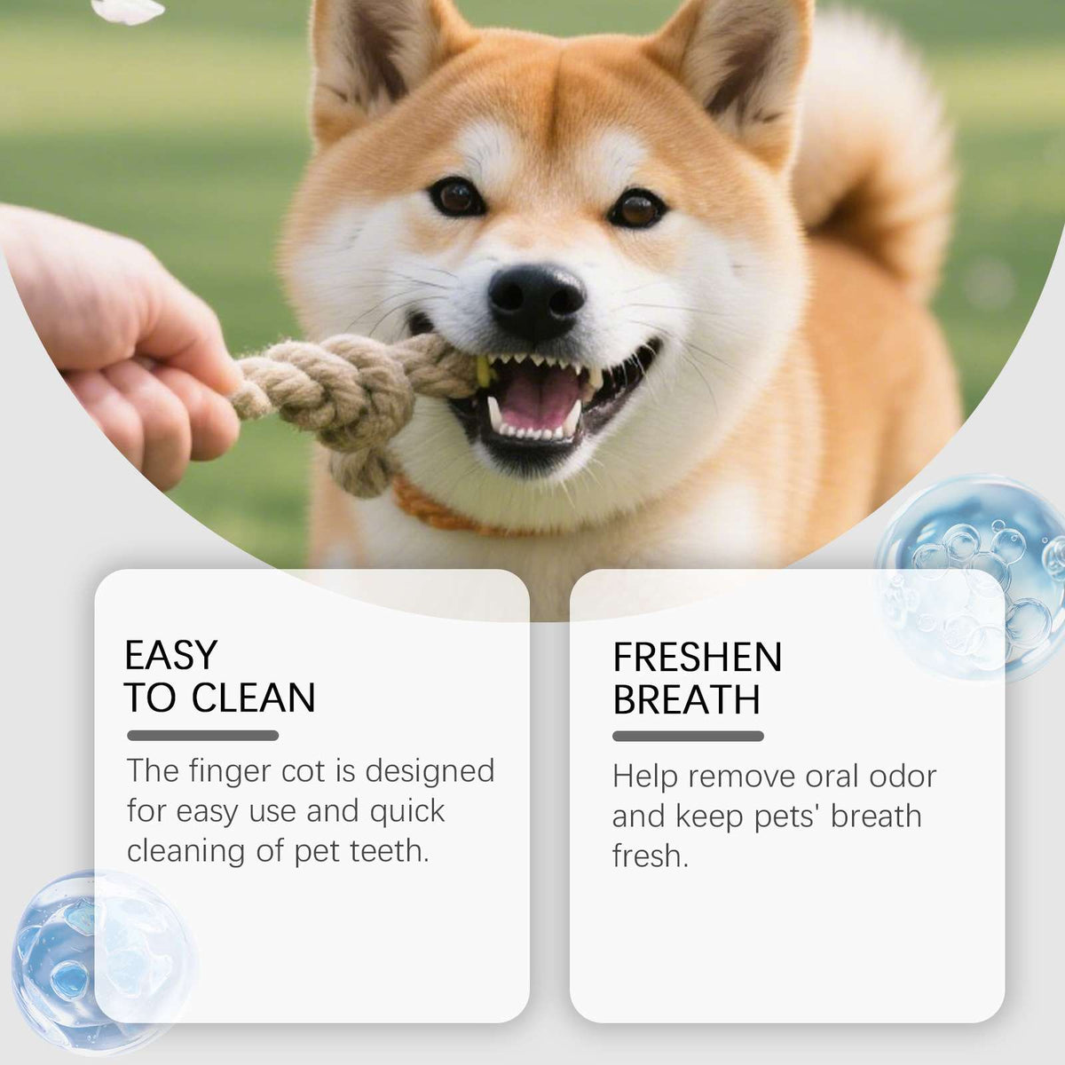 Pet Dental Tooth Powder For Cats And Dogs – Fresh Breath - Dog Health - TinPaw