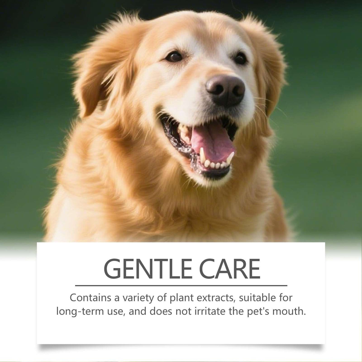 Pet Dental Tooth Powder For Cats And Dogs – Fresh Breath - Dog Health - TinPaw