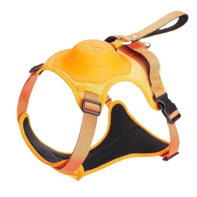 Adjustable Dog Harness And Leash Set For Medium Dogs - Dog Gear - TinPaw