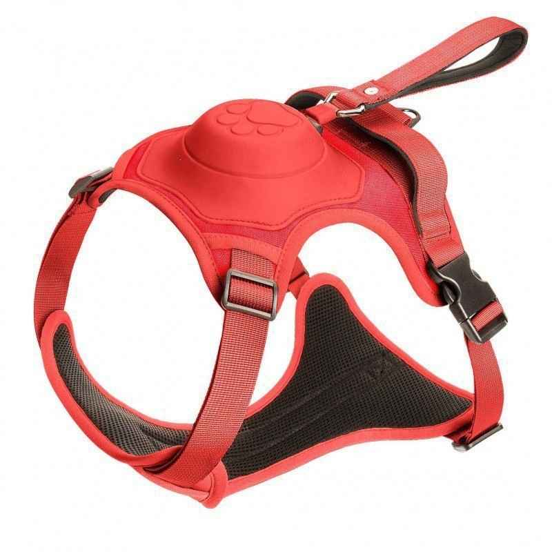 Adjustable Dog Harness And Leash Set For Medium Dogs - Dog Gear - TinPaw - Red - M - SU00367870 - Red - M