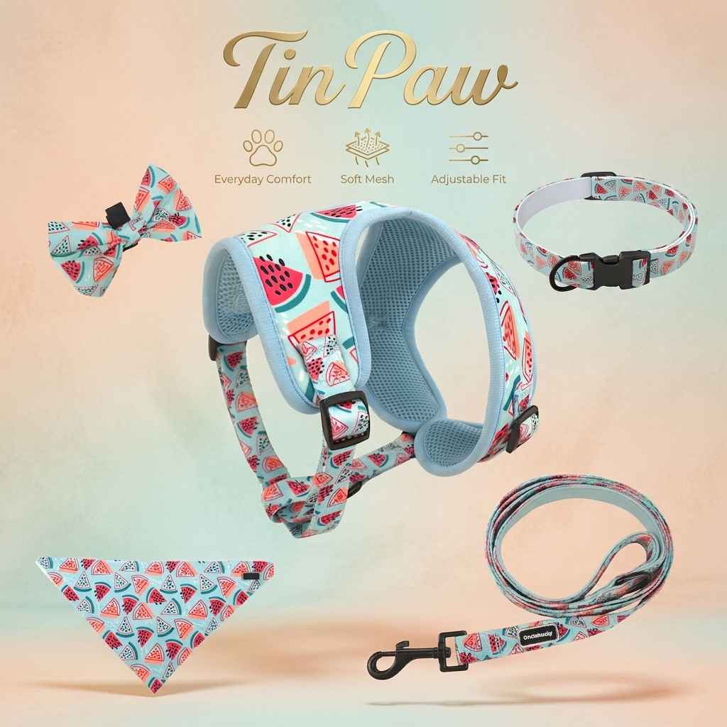Adjustable Dog Harness And Leash Set For Medium Dogs - Dog Gear - TinPaw