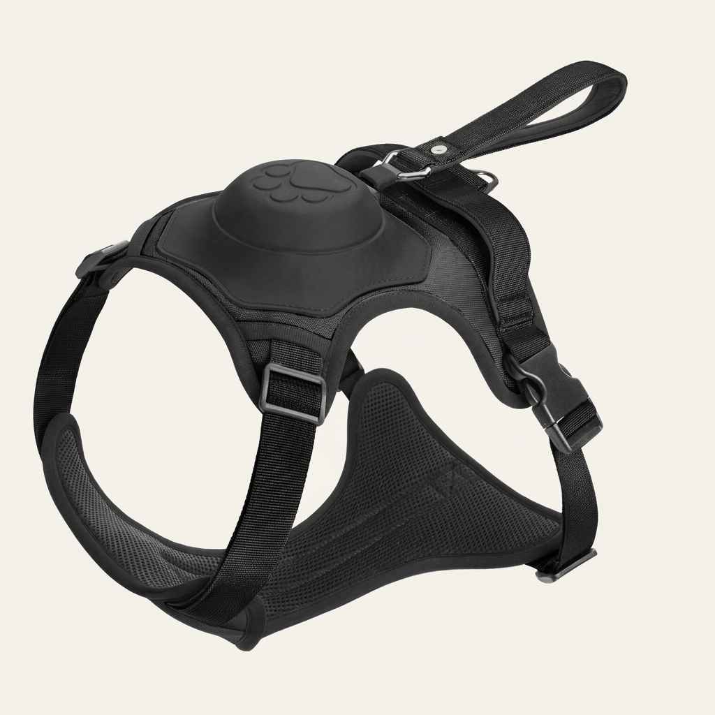 Adjustable Dog Harness And Leash Set For Medium Dogs - Dog Gear - TinPaw