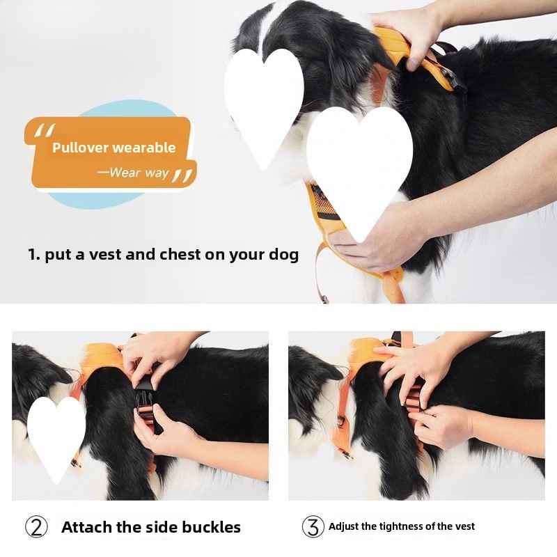 Adjustable Dog Harness And Leash Set For Medium Dogs - Dog Gear - TinPaw