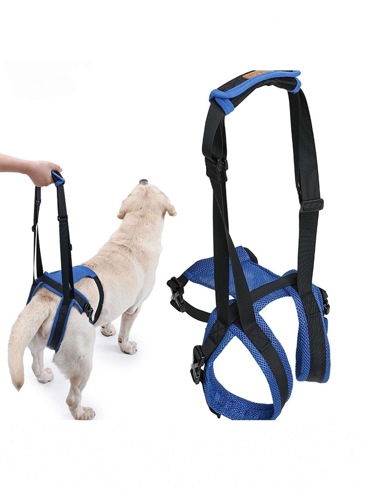 Adjustable Dog Mobility Support Harness for Hind Legs - Dog Gear - TinPaw