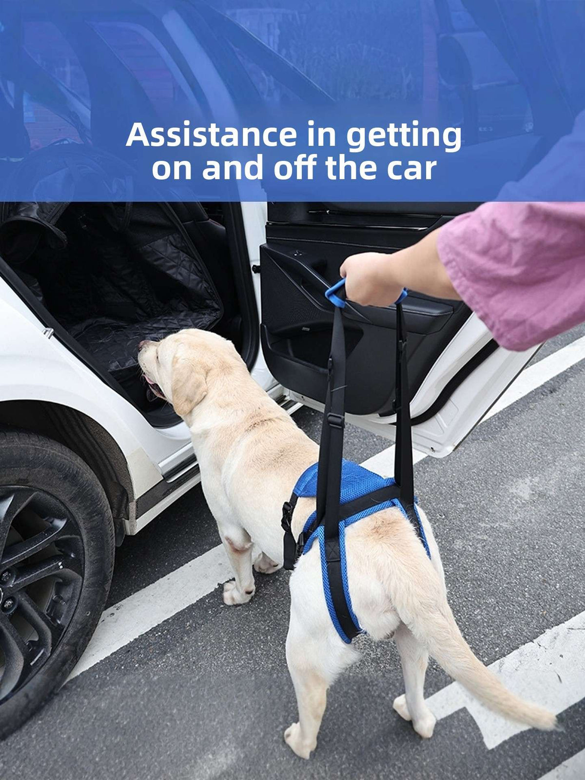 Adjustable Dog Mobility Support Harness for Hind Legs - Dog Gear - TinPaw