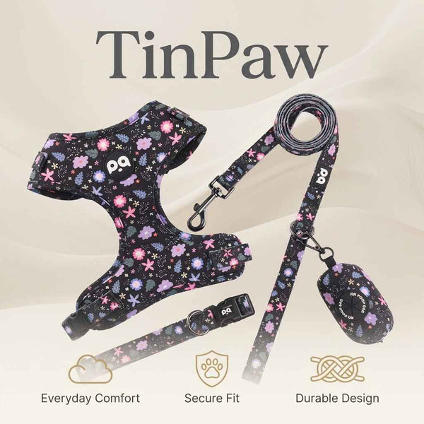 Adjustable Patterned Dog Collar And Leash Set - Dog Gear - TinPaw