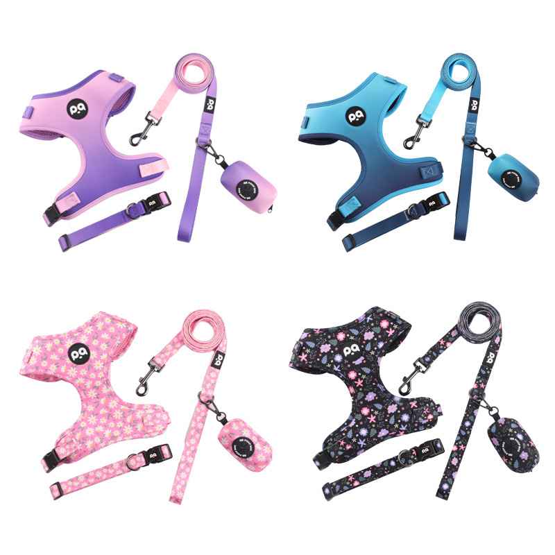 Adjustable Patterned Dog Collar And Leash Set - Dog Gear - TinPaw