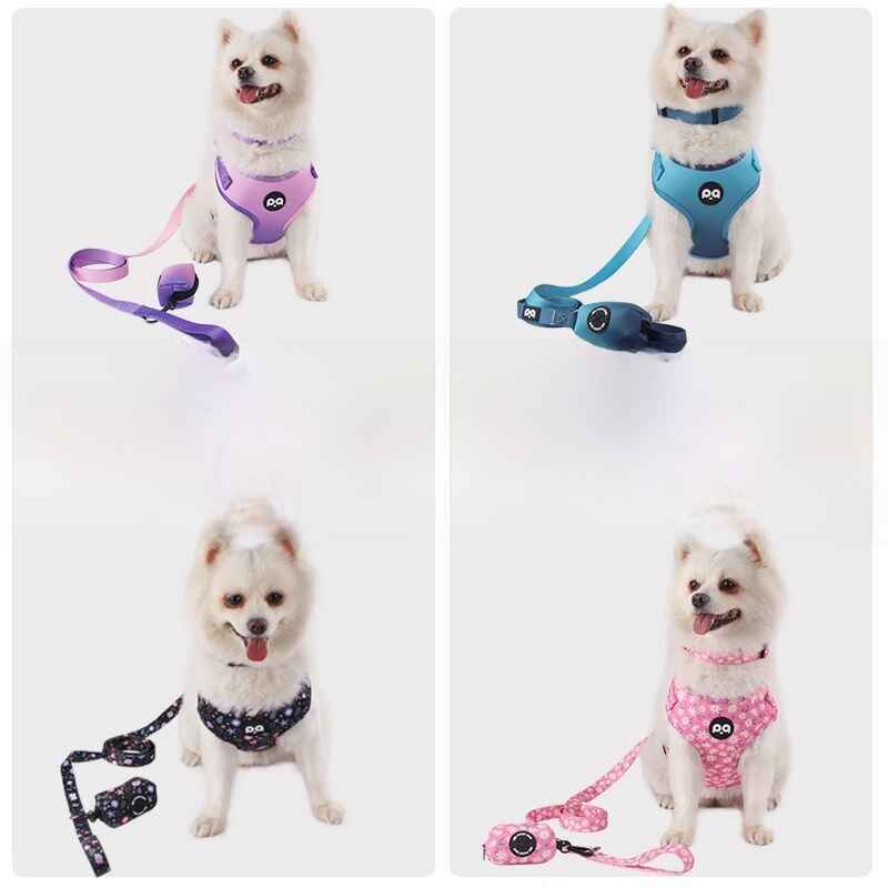 Adjustable Patterned Dog Collar And Leash Set - Dog Gear - TinPaw