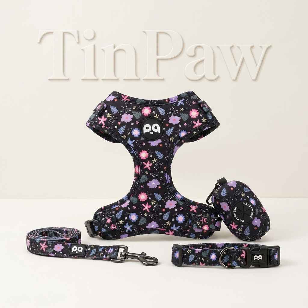 Adjustable Patterned Dog Collar And Leash Set - Dog Gear - TinPaw