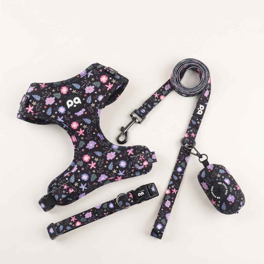 Adjustable Patterned Dog Collar And Leash Set - Dog Gear - TinPaw
