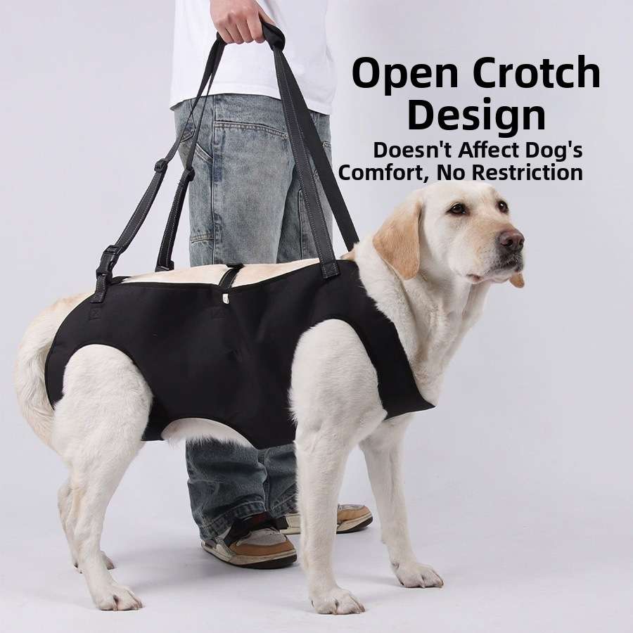 Adjustable Reflective Dog Support Harness & Leash - Dog Gear - TinPaw