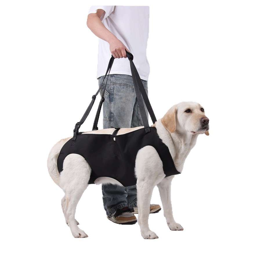 Adjustable Reflective Dog Support Harness & Leash - Dog Gear - TinPaw