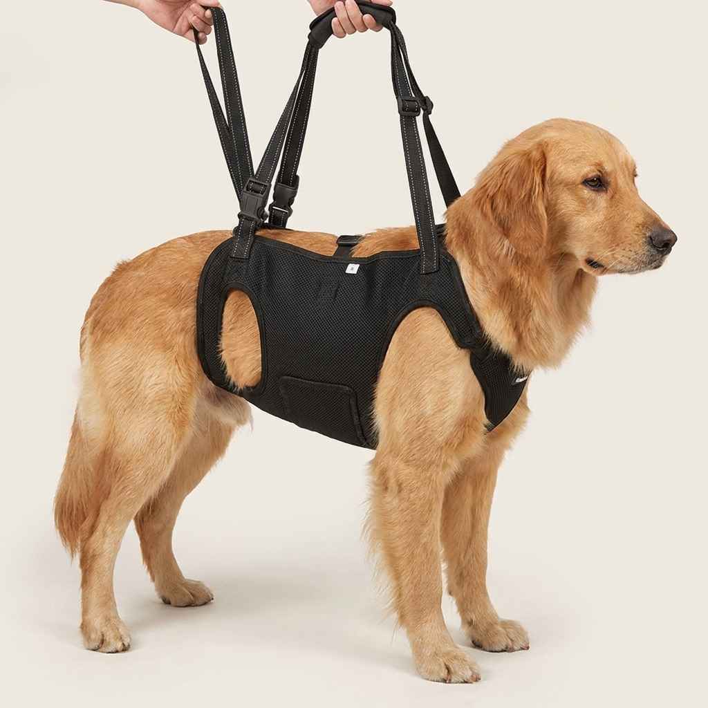 Adjustable Reflective Dog Support Harness & Leash - Dog Gear - TinPaw