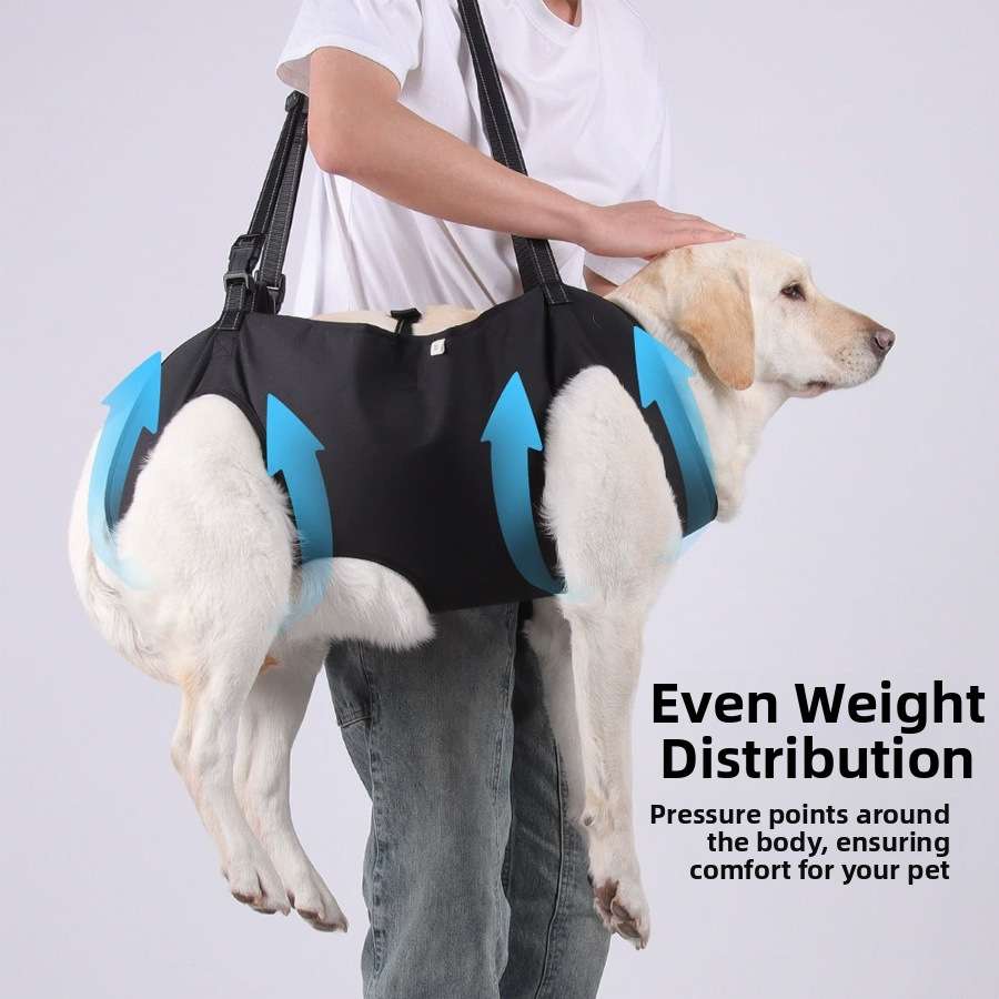 Adjustable Reflective Dog Support Harness & Leash - Dog Gear - TinPaw