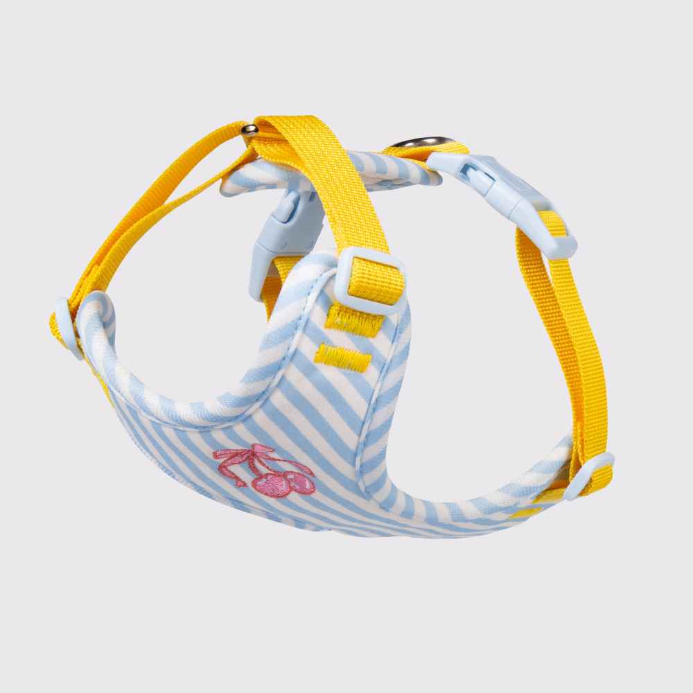 Anti - Escape Small Dog Vest Harness – Soft Cloth Fit - Dog Gear - TinPaw - Sky blue single breasted - xs - SU00364453 - Sky blue single breasted - xs