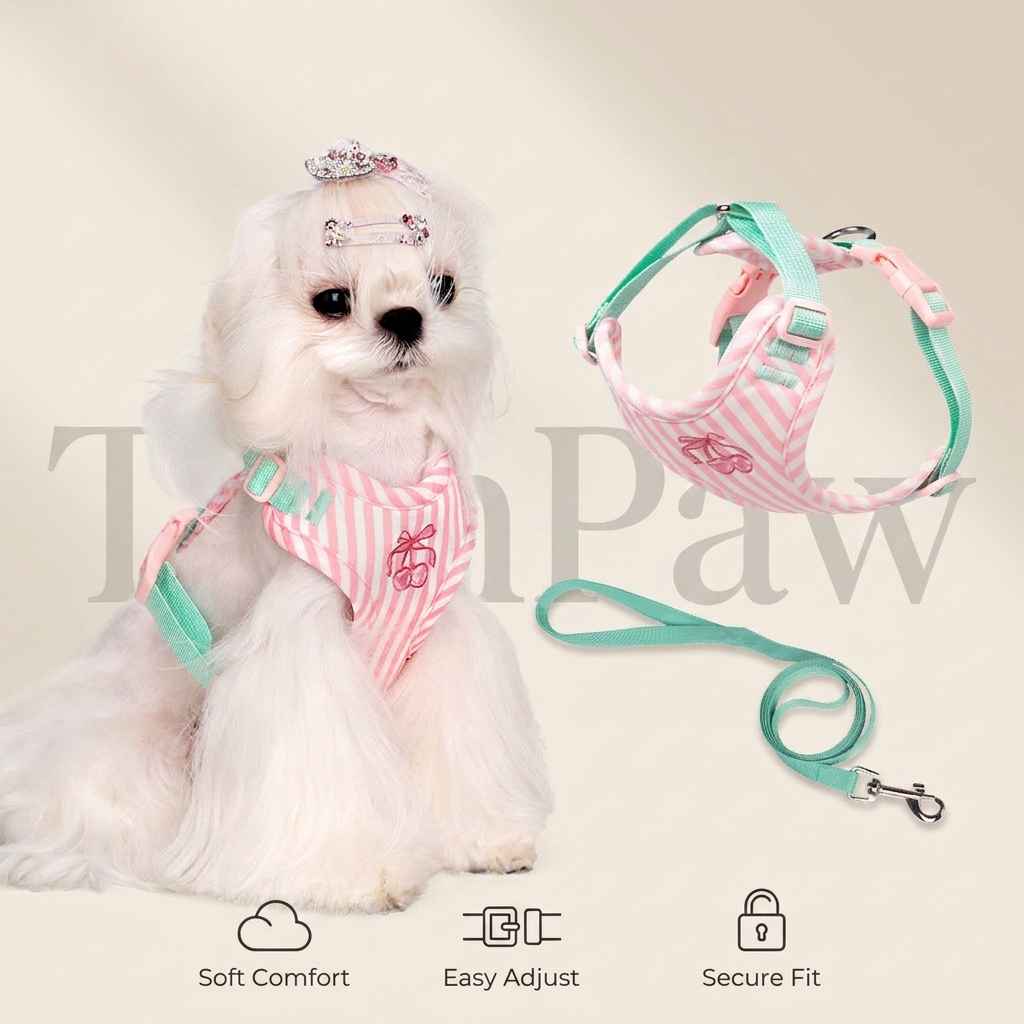 Anti - Escape Small Dog Vest Harness – Soft Cloth Fit - Dog Gear - TinPaw