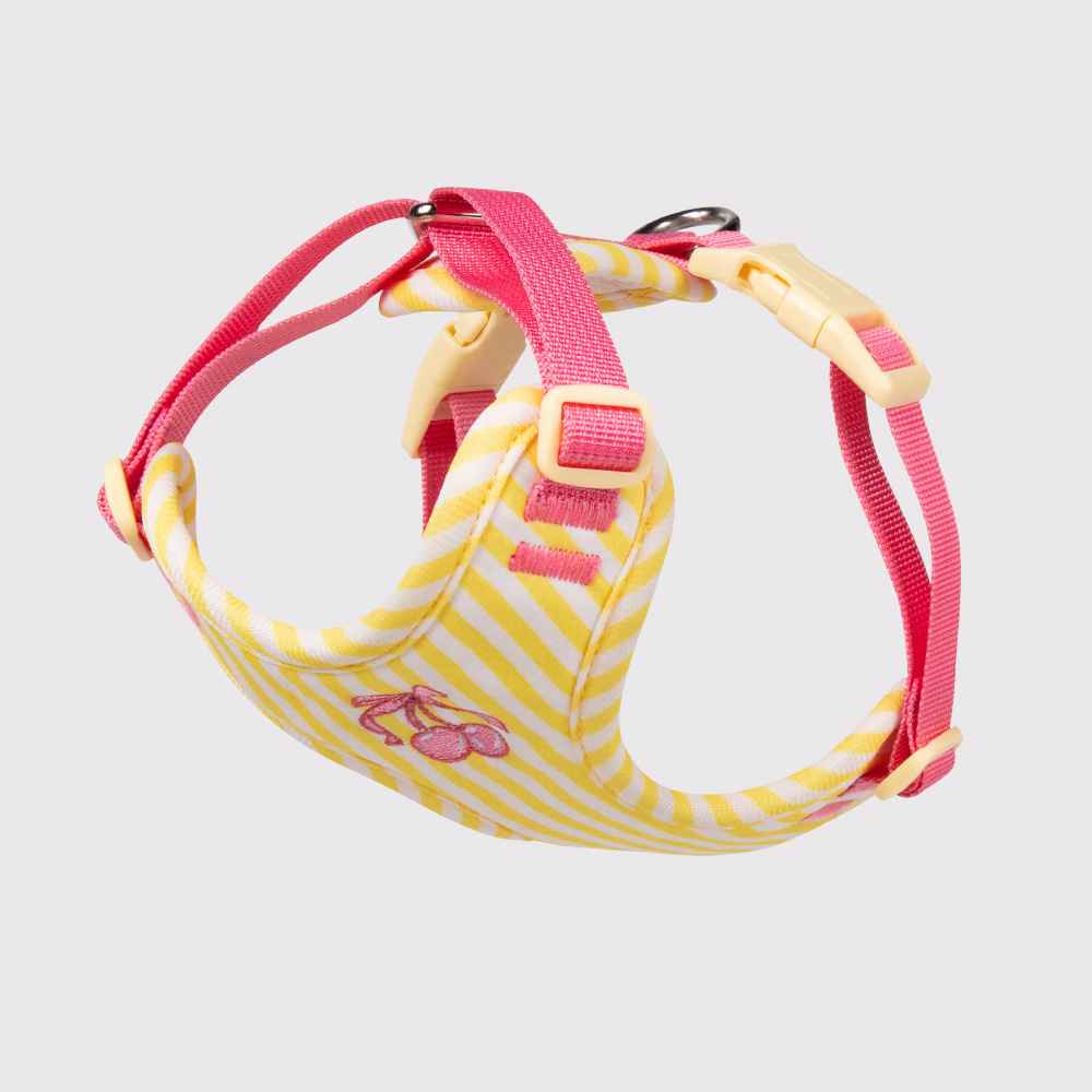 Anti - Escape Small Dog Vest Harness – Soft Cloth Fit - Dog Gear - TinPaw - Bright yellow single chest and back - s - SU00364453 - Bright yellow single chest and back - s