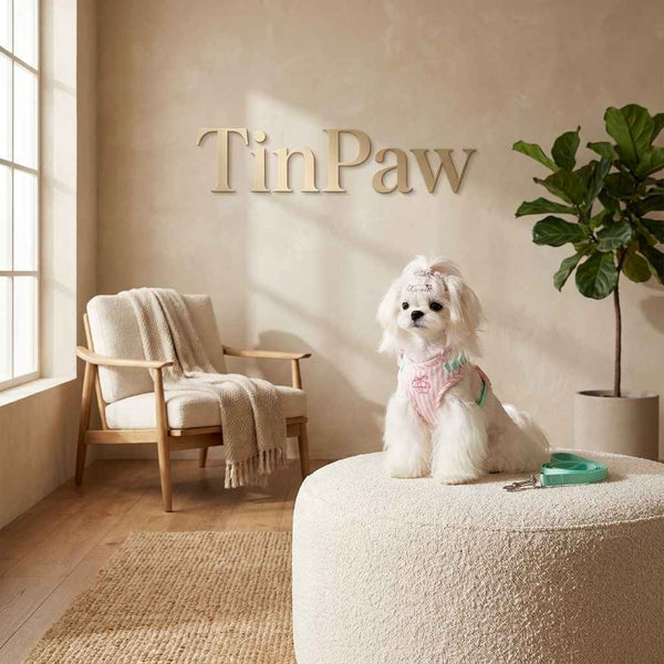 Anti - Escape Small Dog Vest Harness – Soft Cloth Fit - Dog Gear - TinPaw