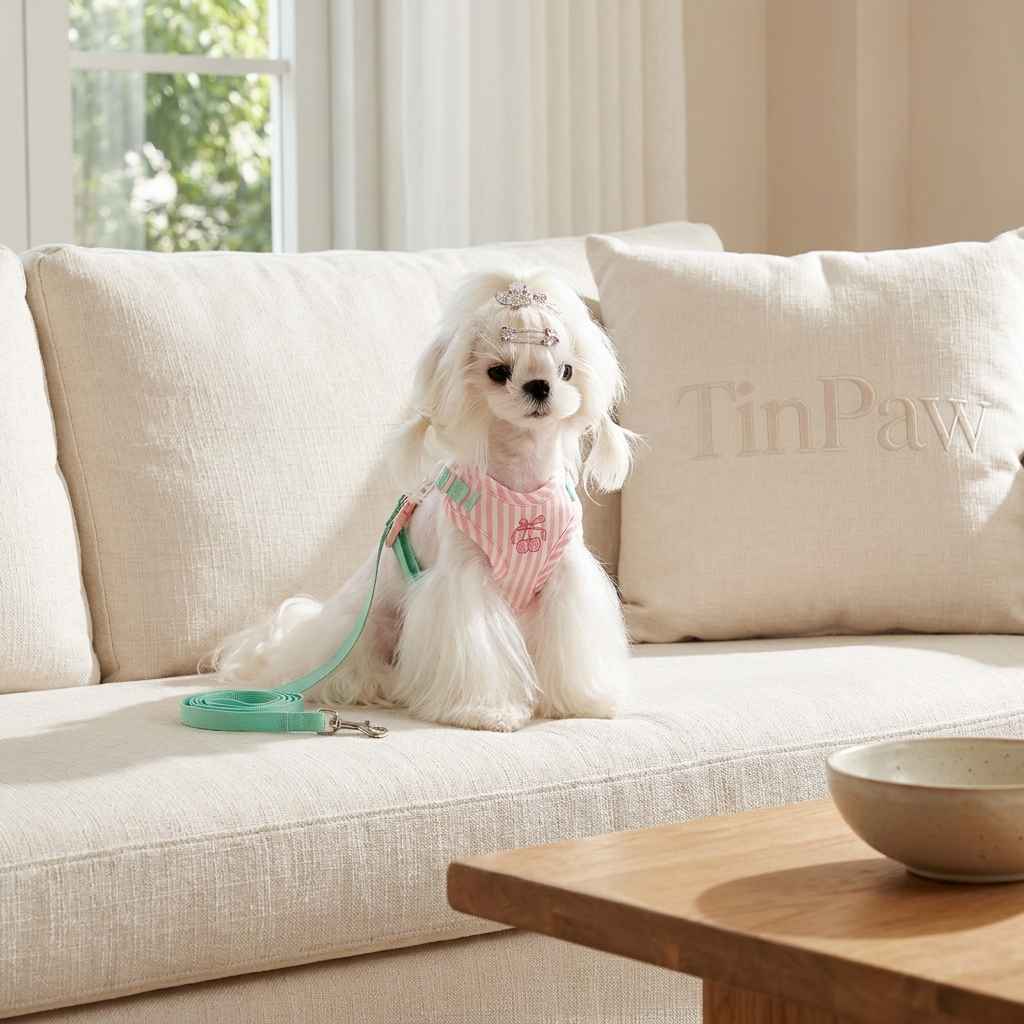 Anti - Escape Small Dog Vest Harness – Soft Cloth Fit - Dog Gear - TinPaw