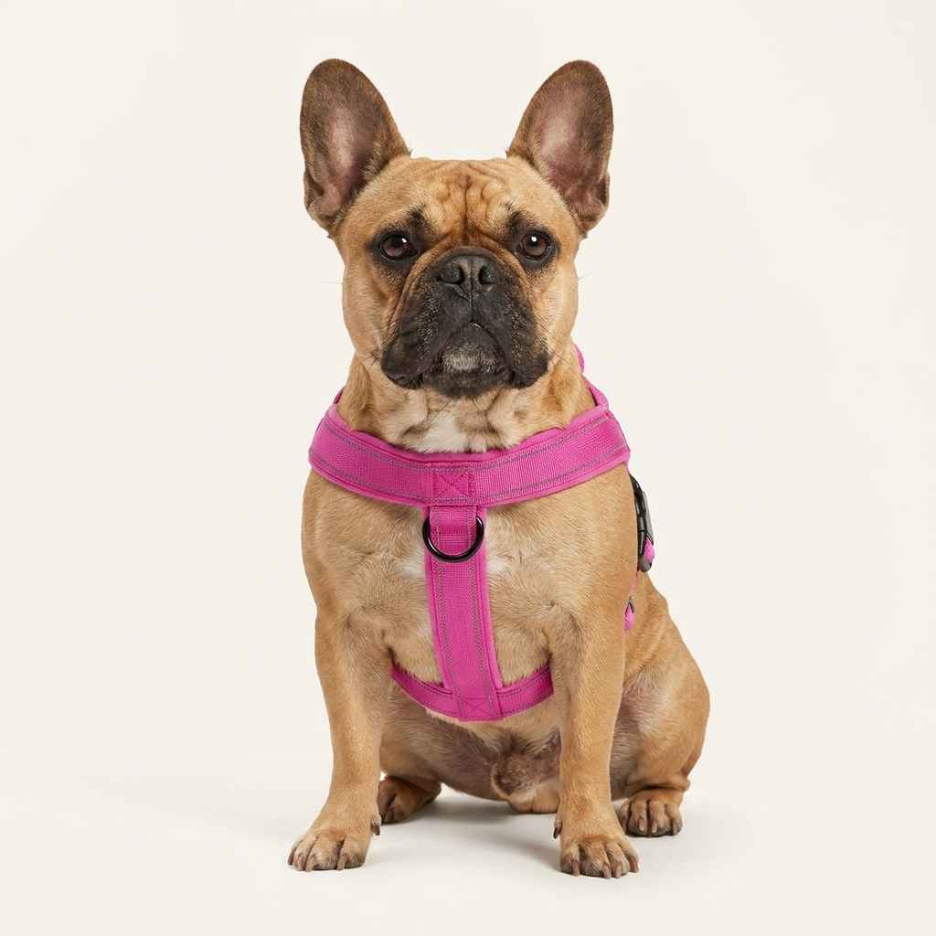 Anti - Escape Small Dog Vest Harness – Soft Cloth Fit - Dog Gear - TinPaw