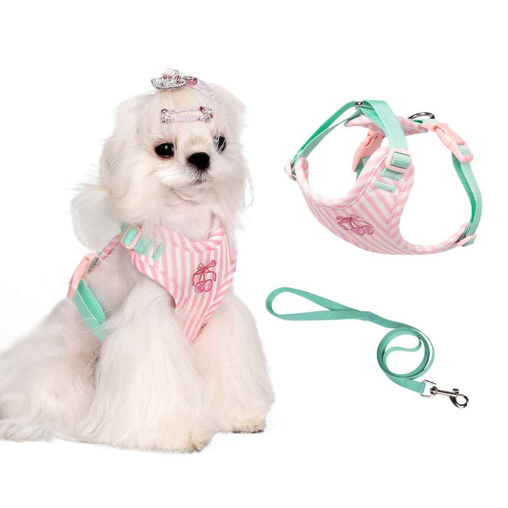 Anti - Escape Small Dog Vest Harness – Soft Cloth Fit - Dog Gear - TinPaw