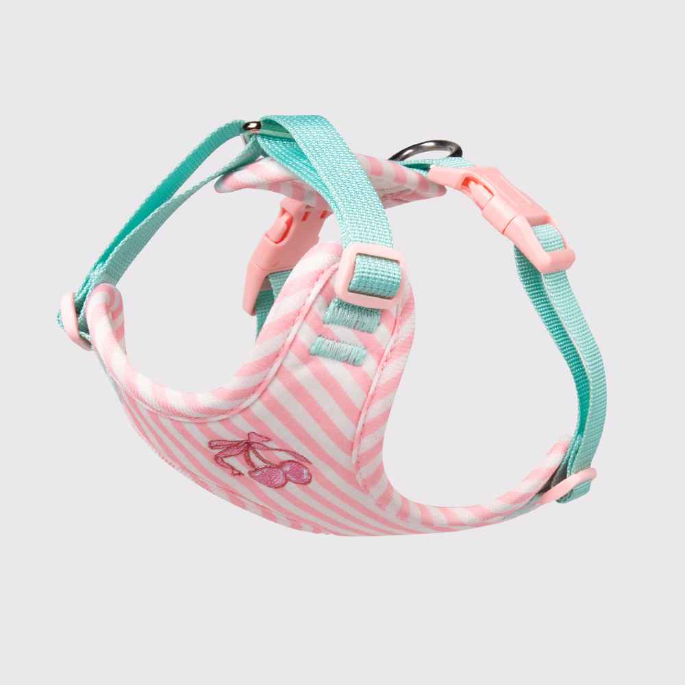 Anti - Escape Small Dog Vest Harness – Soft Cloth Fit - Dog Gear - TinPaw - Pink single chest and back - s - SU00364453 - Pink single chest and back - s