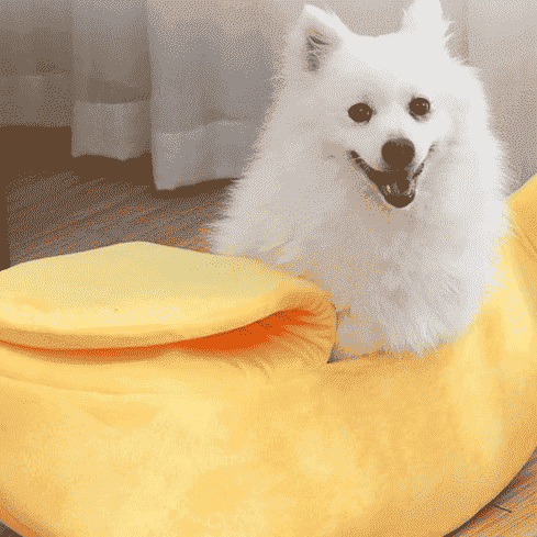Banana Dog Bed Boat for Small Pets – Cozy Nest Design - Dog Beds & Furniture - TinPaw