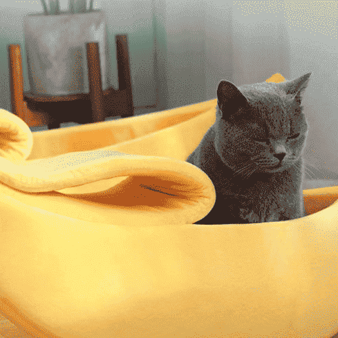 Banana Dog Bed Boat for Small Pets – Cozy Nest Design - Dog Beds & Furniture - TinPaw