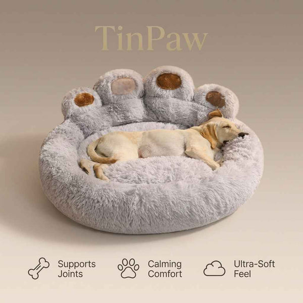 Bear Paw Dog Bed Nest – Soft, Cozy All - Season Design - Dog Beds & Furniture - TinPaw
