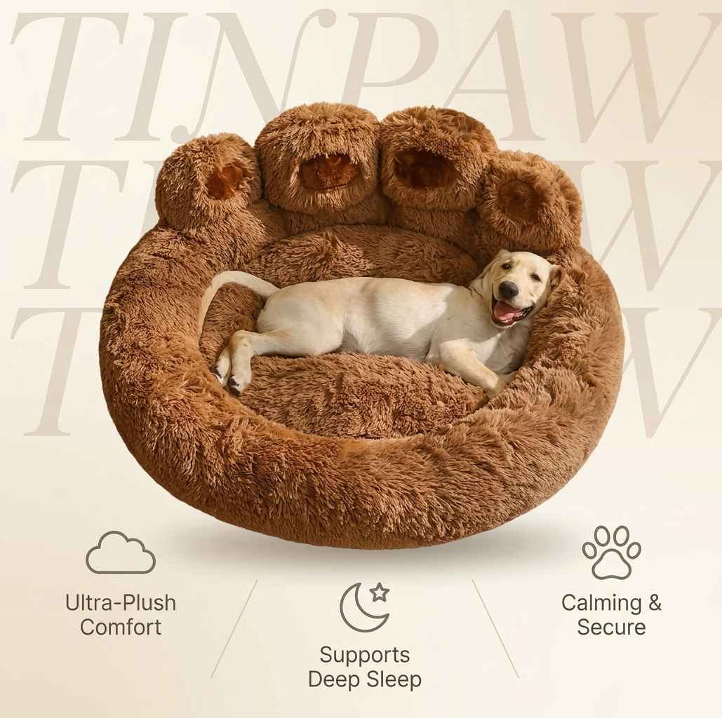 Bear Paw Dog Bed Nest – Soft, Cozy All - Season Design - Dog Beds & Furniture - TinPaw