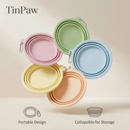 Collapsible Silicone Dog Travel Bowl
