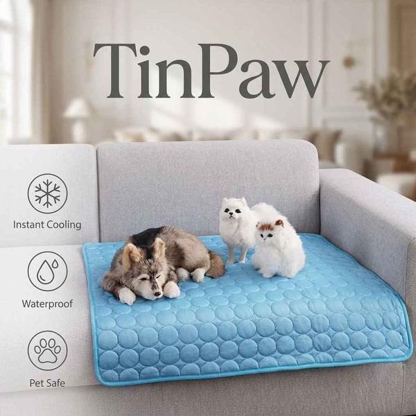 Cooling Dog Bed with Cold - Sense Fabric – Summer Comfort - Dog Beds & Furniture - TinPaw